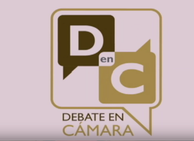 Imagen de debate en cámara 