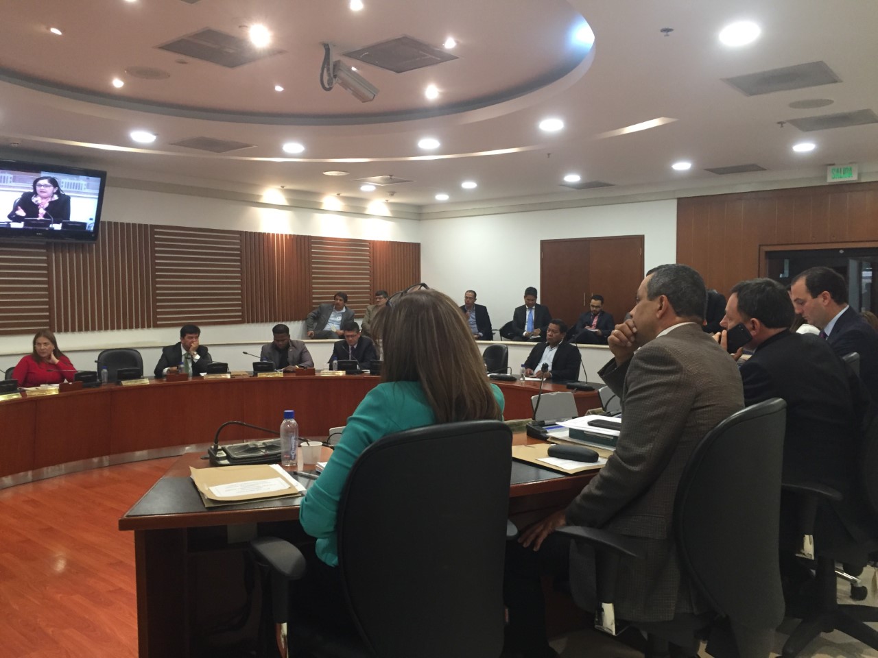 “Escogencia de operador de energía para el Caribe debe estar rodeado de transparencia”