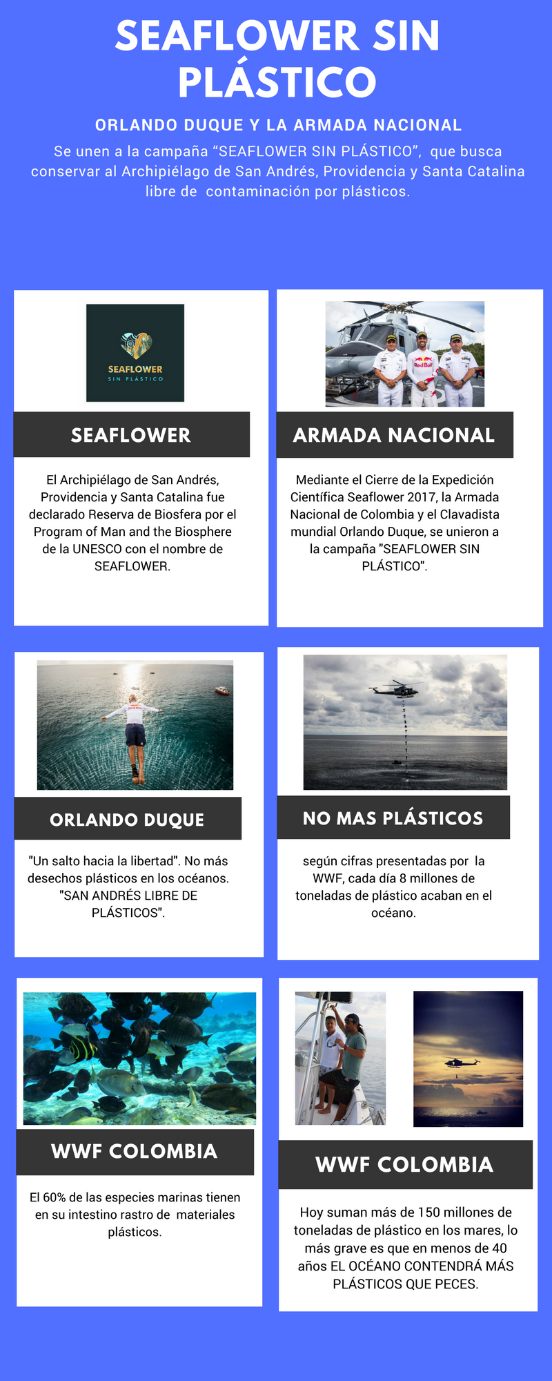 “SEA FLOWER SIN PLÁSTICO”