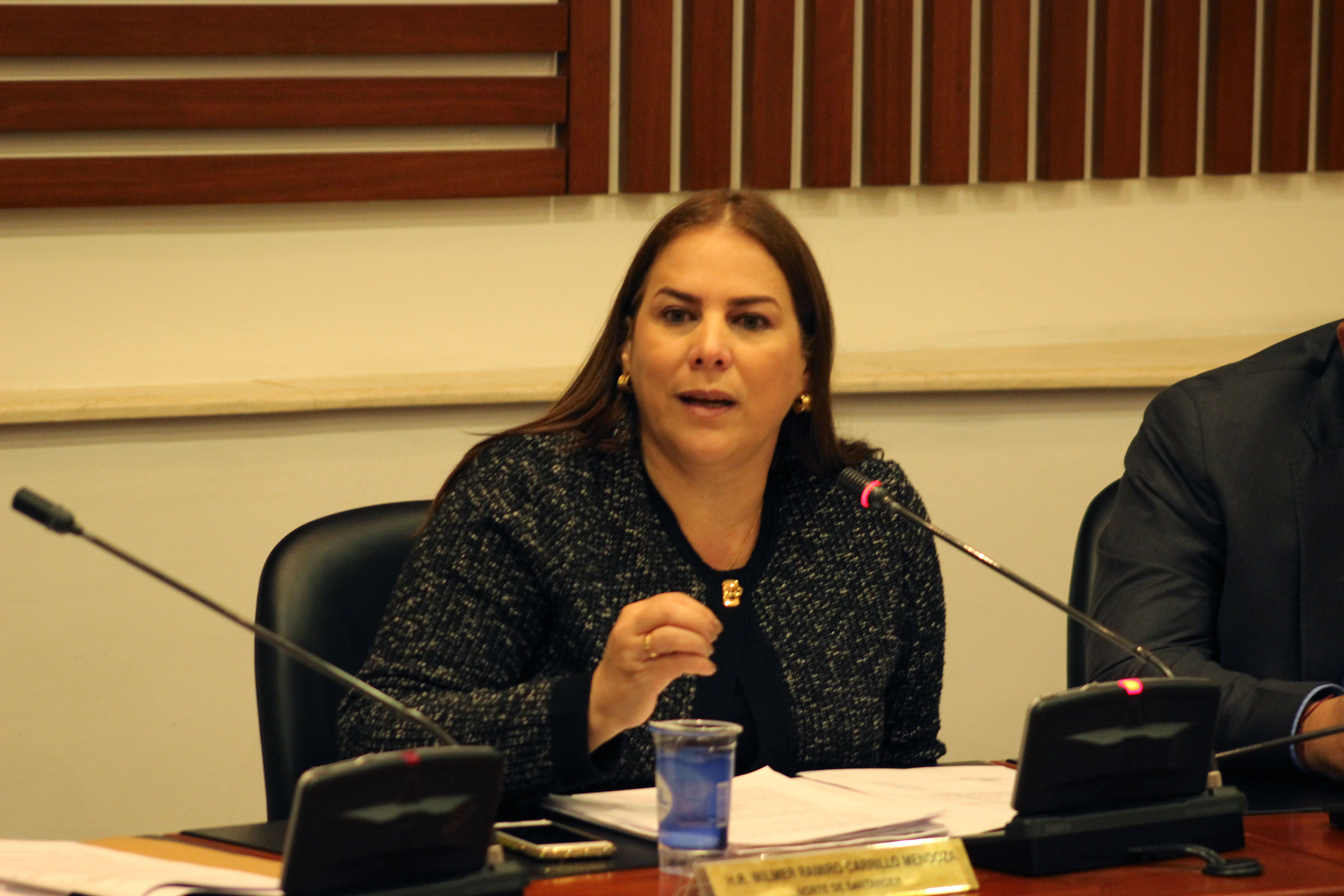 Villalba citará a debate para exigir resultados de intervención a Electricaribe