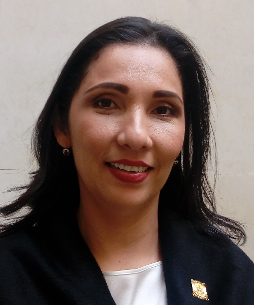 Imagen de la representante Milene Jarava