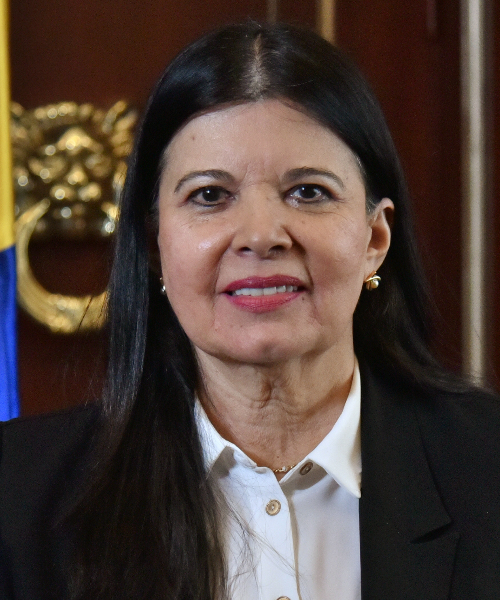 Imagen de la representante Flora Perdomo Andrade