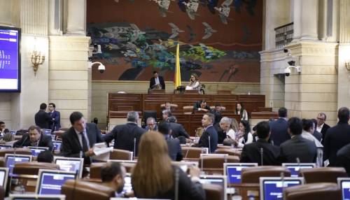 Cámara aprueba adjudicación de tierras en reservas forestales