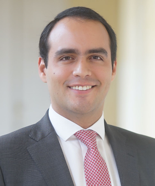 Alejandro Alberto Vega Pérez