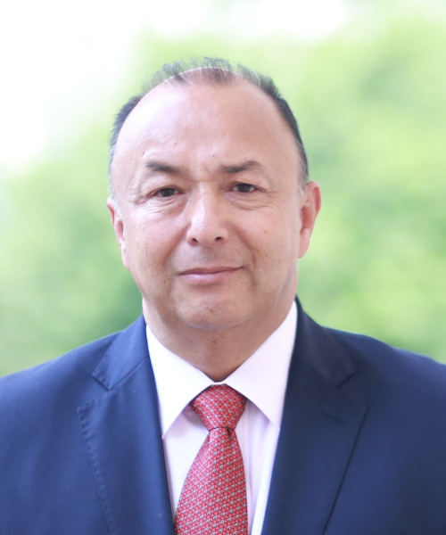 Gustavo Hernán Puentes Díaz