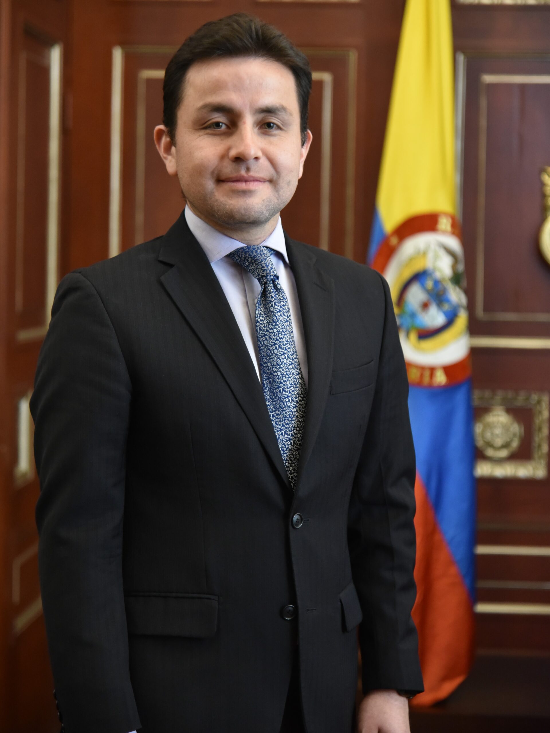 Diego Fernando Gonzalez Castellanos