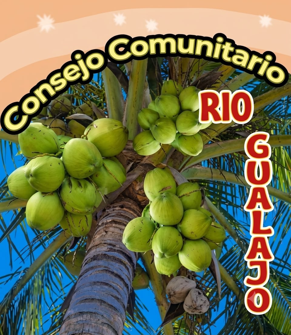 Logo partido Consejo Comunitario Río Gualajo